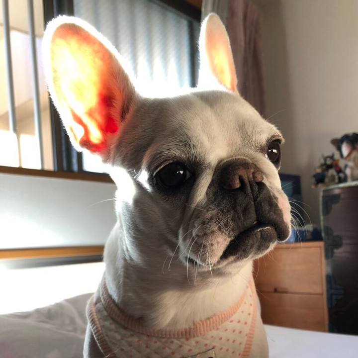 Fa87e071 1ec1 4f88 b73f 792da1fe44e7 1545832761355