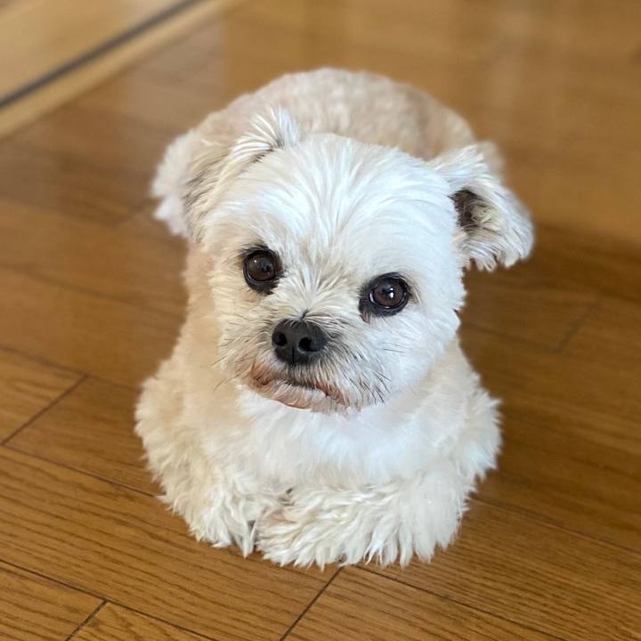 Fa87f961 4b3d 4f49 a831 0f627cca1027 1583579498664