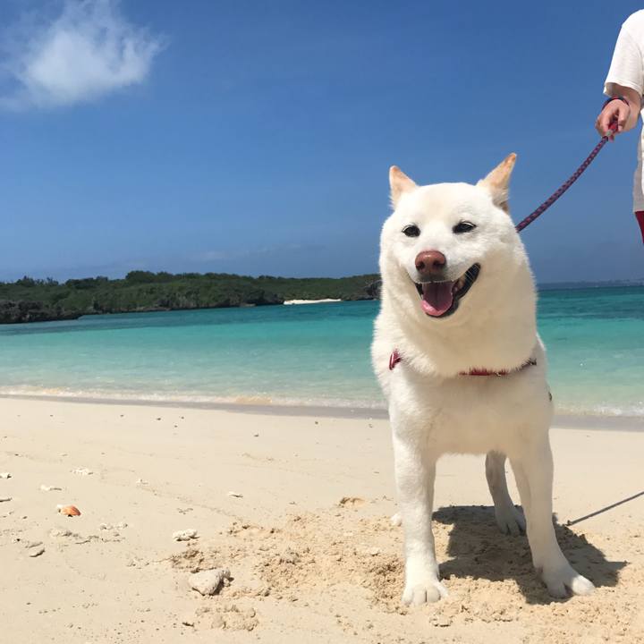 Fa8807cb 7dd0 4a72 a5fa ff566a49103e 1525227644006