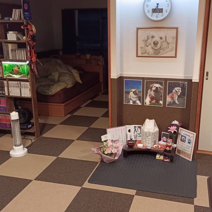 Fa881b48 ff73 4e5b 92c7 fa4ab02e7a93 1761381612960