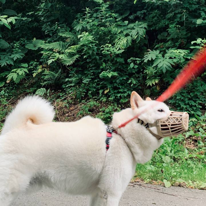 Fa88a813 442a 41e8 8291 e4d825dff26f 1594499241586