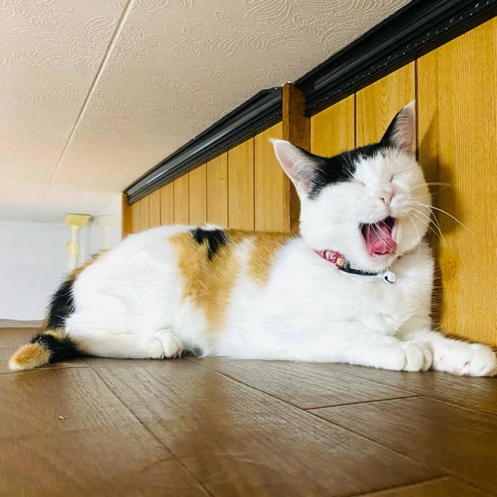 Fa892827 e2f3 4dab 9968 a252042f6c99 1660915399130