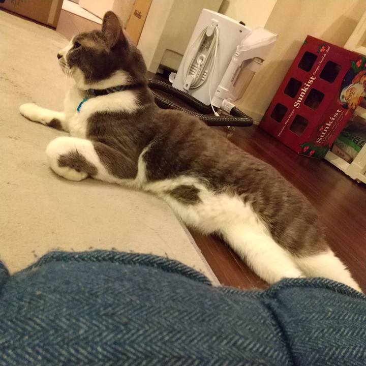 Fa89330a 3de3 43da 828f 3e73aa0aca68 1614773040662