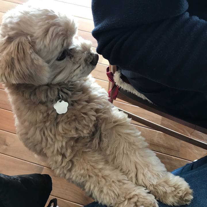 Fa8946db 0c4a 424d b20e 1e3bd8dbf663 1551004990250