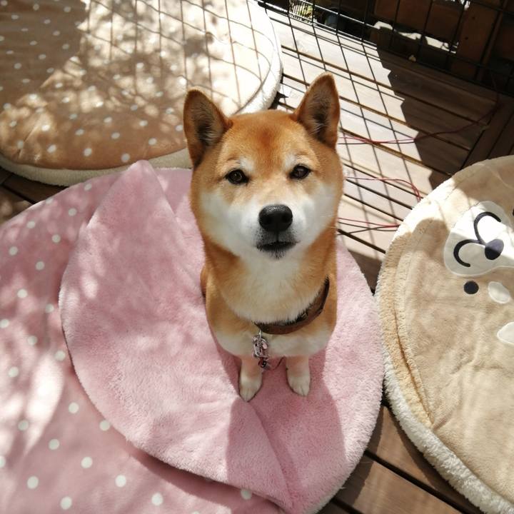 Fa8959c9 b165 414f aded ae7f1d4e95e4 1615770223448