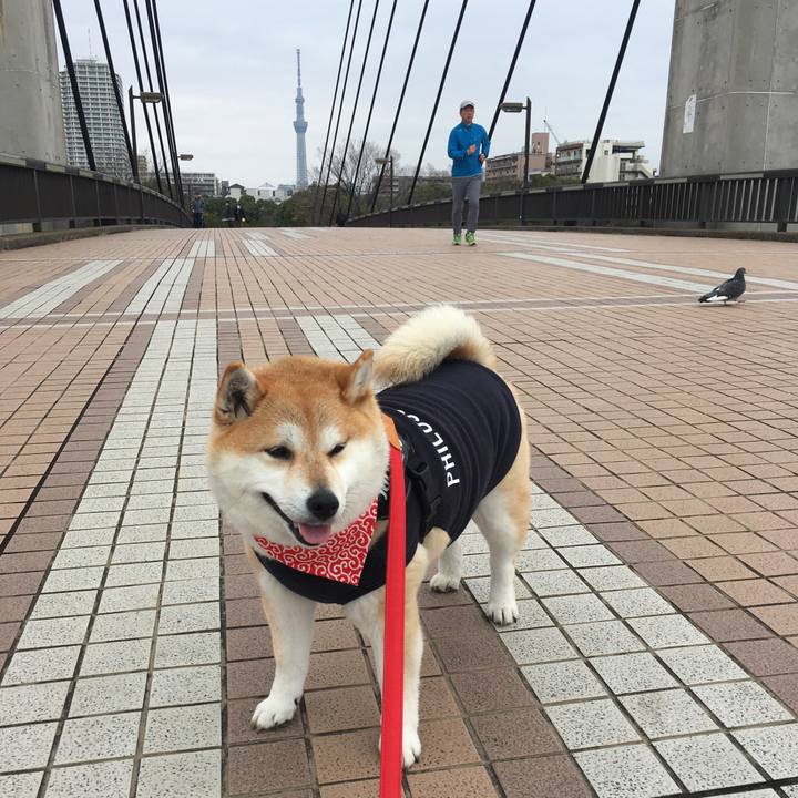 Fa8967e2 83ad 496a 835f 58760db05195 1583564960306