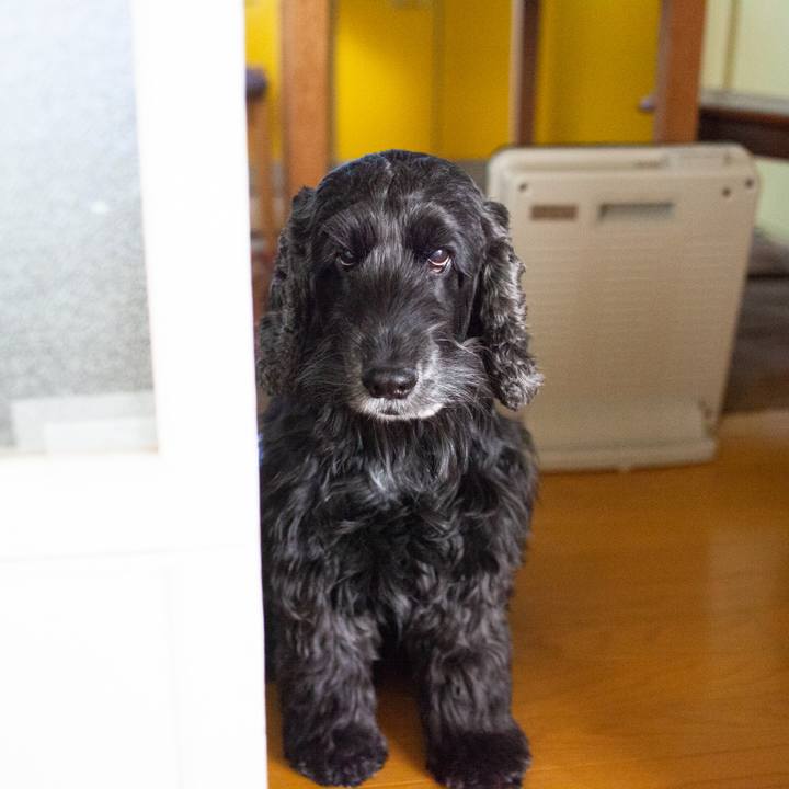 Fa89965d f176 4675 9a71 a8af06d8248e 1549282673646