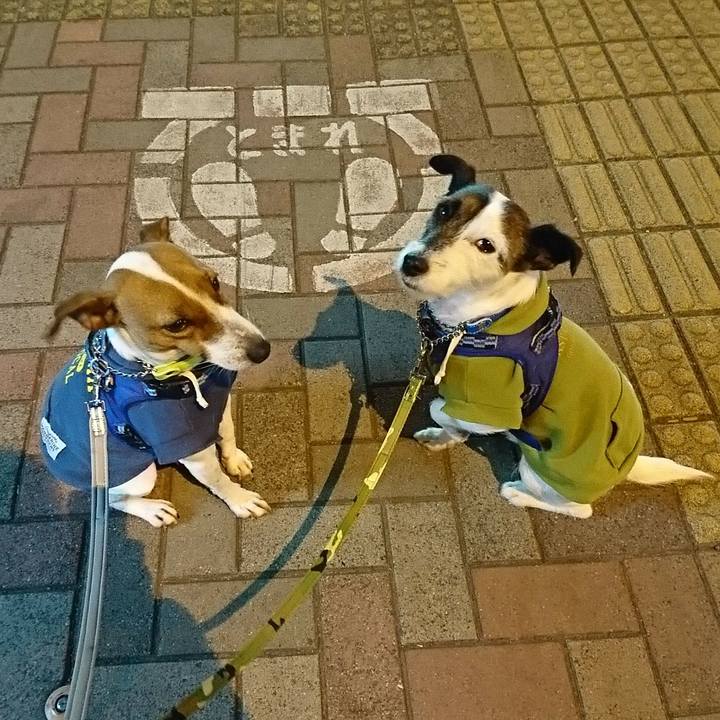 Fa899c79 83e6 4329 b43a 6a0134b4c252 1548418094044