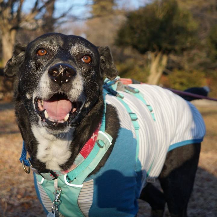 Fa89b11d 616a 4db1 ad8f b629295a1446 1770164296331