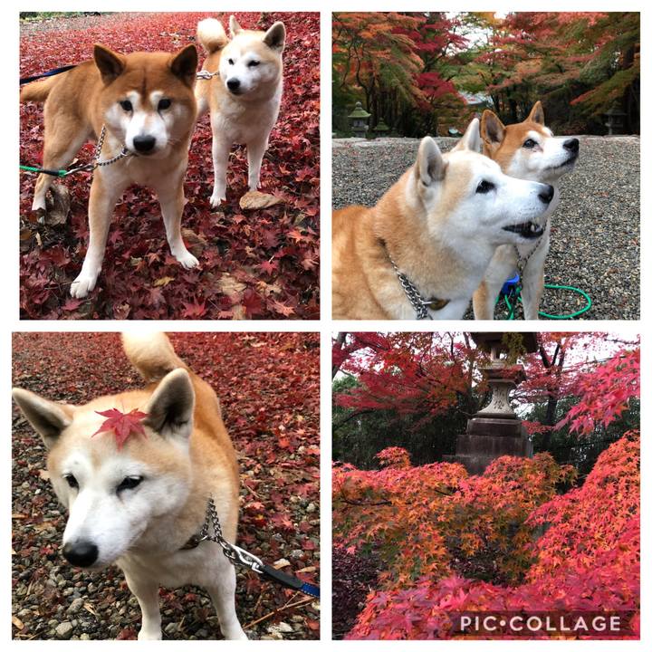 Fa89e04d 8dac 430f a1bd 20013ba7cb04 1543620287735