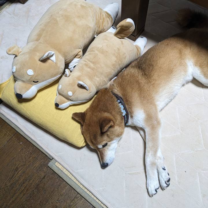 Fa89eaf9 a94b 4894 abde e30085a060c6 1717143508290