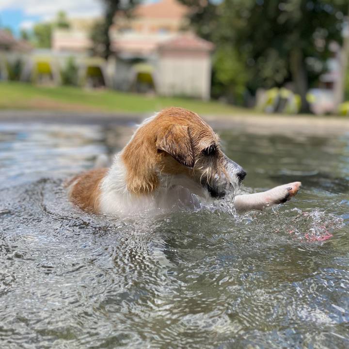 Fa89ee88 d10c 4a41 a4ae 6160e799522a 1599310050805