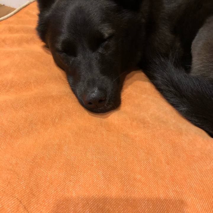 Fa89f7ff 53ba 4319 a552 694daa7056e1 1540561135940