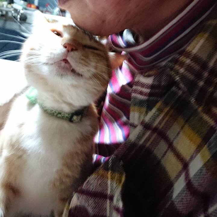 Fa8a49de 7029 448d bc71 7f7f49cc1fe8 1584736600078