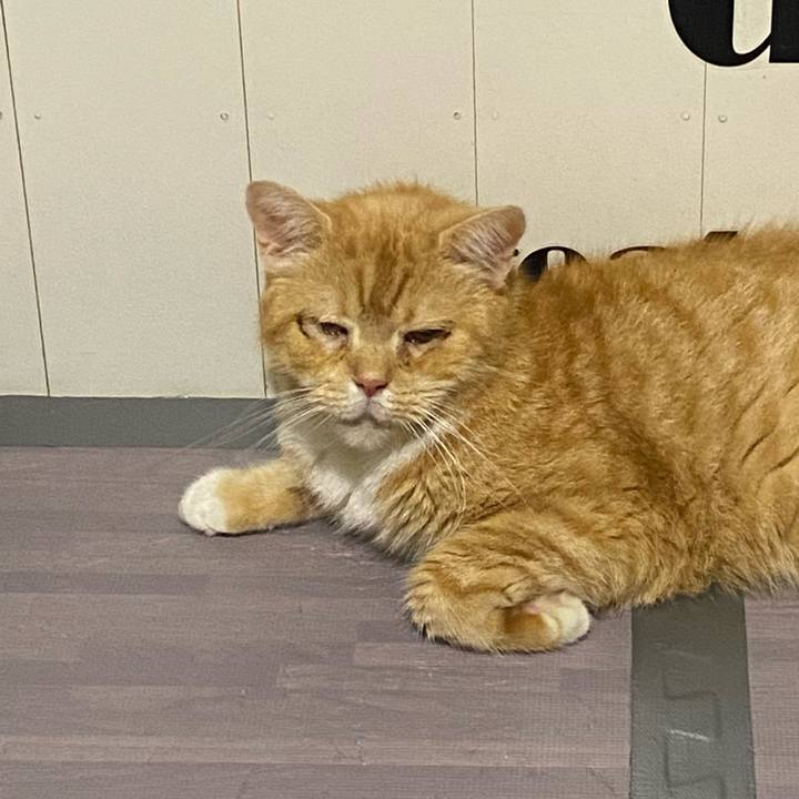 Fa8a4cb9 657e 42e4 92dd e323a427281f 1665413638895