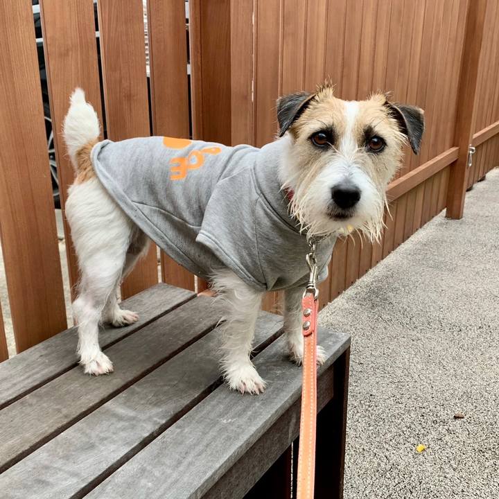 Fa8a73b9 adeb 4113 9ed5 4a330585ce00 1679529262094