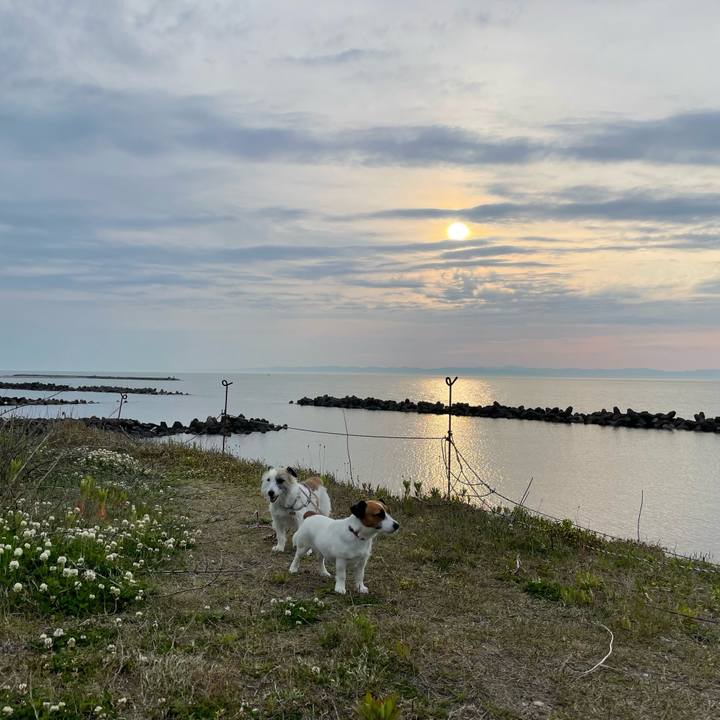 Fa8a80dc 11e7 4249 a4af 35341e0f10af 1683970454599