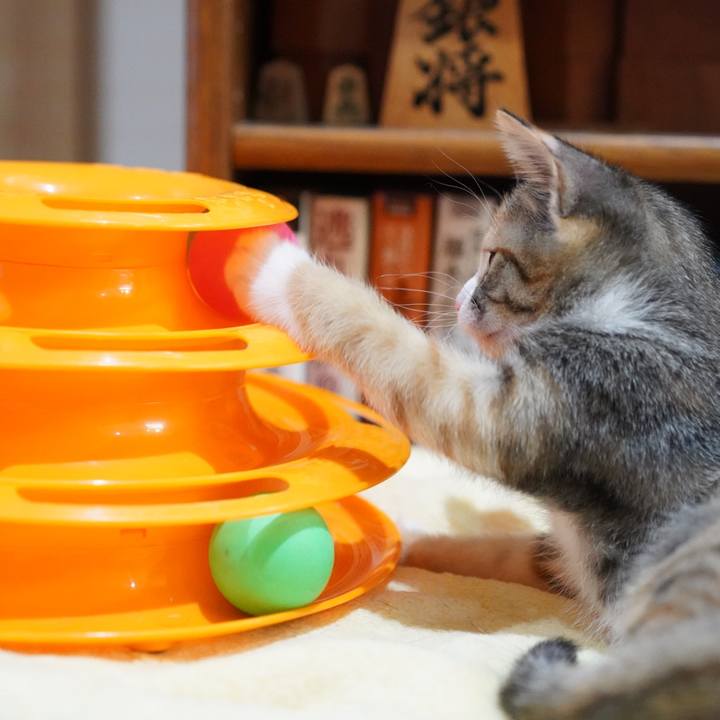 Fa8a8248 389e 477e 8ee2 5681e5dc754e 1572187316816