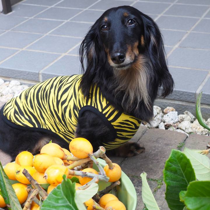 Fa8ac873 ea75 4e1f 9f7a b20bd8b542ff 1654407547988