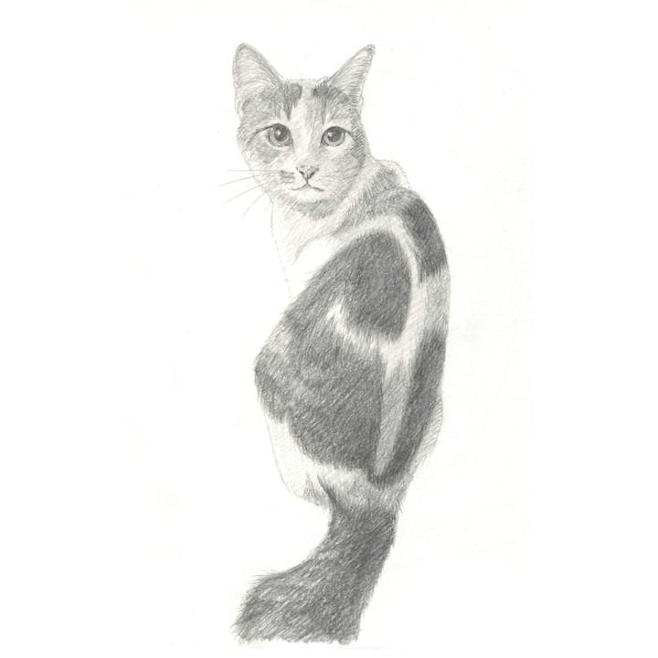 Fa8b0b3a f6d4 4bd1 a913 2faf5a9c34f6 1539176324347