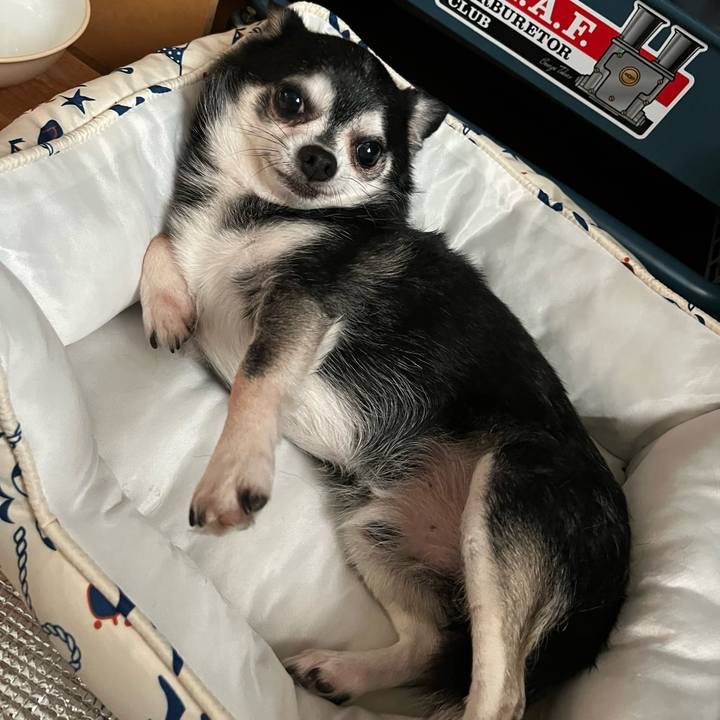 Fa8b71b8 cb2e 44bb aef2 70d11751ee30 1690843865320