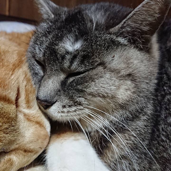 Fa8baa65 0e94 4949 b471 fb22fb411dda 1578658812535