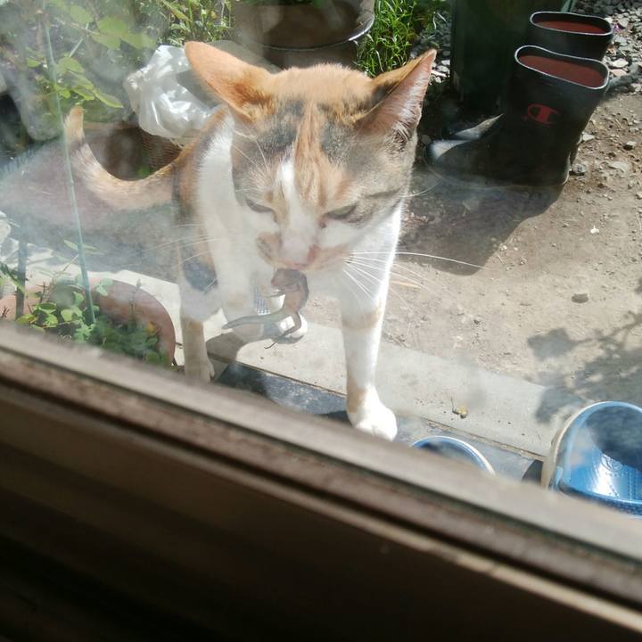 Fa8bbfc7 f7e1 4e5e 945e 11d507e7d6be 1523772007559