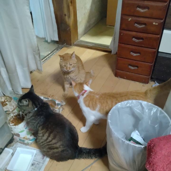 Fa8bcaf3 0d40 4075 8e47 e7577e717c2c 1753178727115