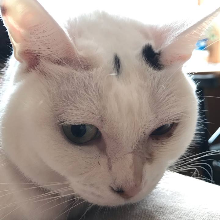 Fa8c0469 48a4 4df0 99e0 fb27daaba8d4 1568417092533