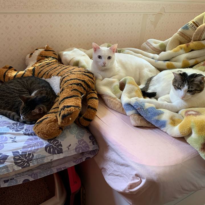 Fa8c4741 05d1 462d b2d1 21f7c7527cbb 1610070061686