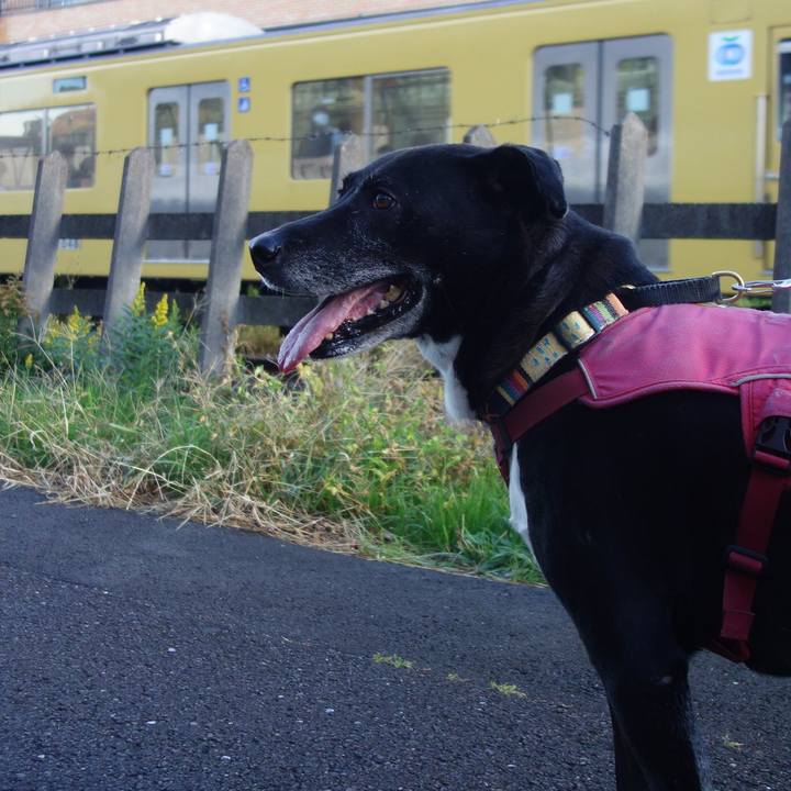 Fa8c53d8 d196 41d1 a7e0 3e02178a8f6d 1700702962276