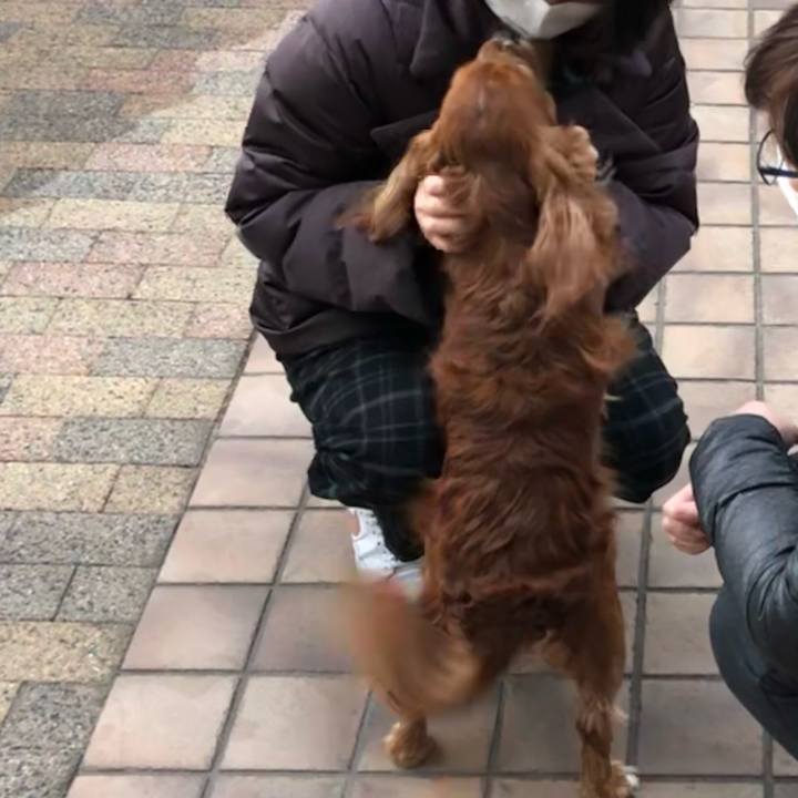 Fa8c5832 1f7f 48ff b400 88f4e2bbbfff 1640008285243