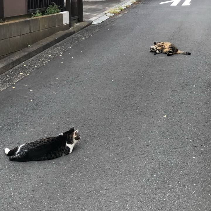 Fa8c8e6a 6f58 4b9f 86a6 794a2930d9df 1524386878218