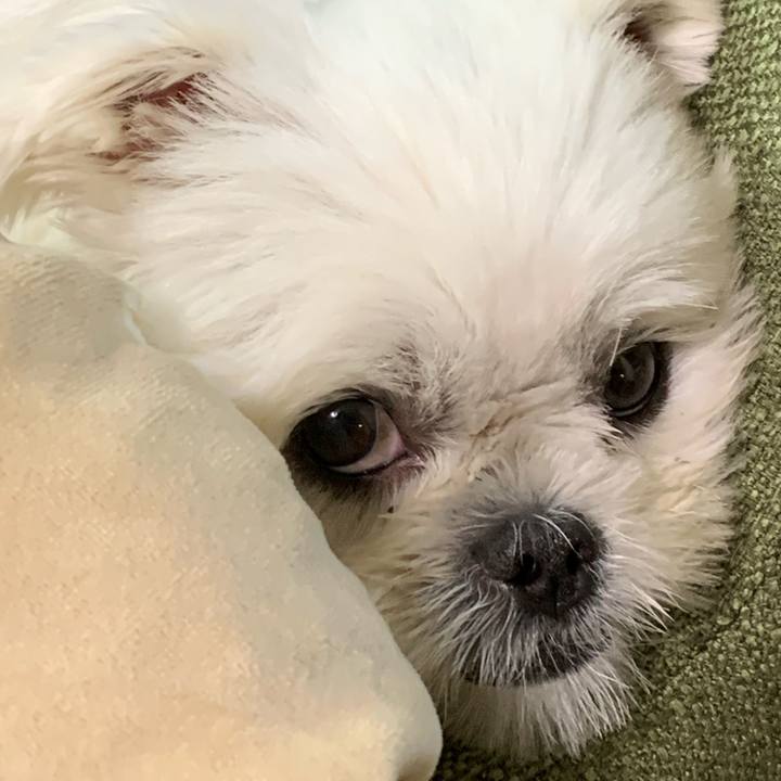 Fa8c8ea8 1a06 45f2 95ee aed2156daf55 1661859488294