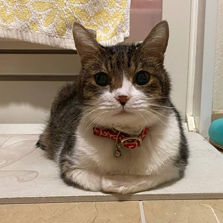 Fa8c95a8 ddda 4eb0 93b1 25c90e6891c7 1591578191180