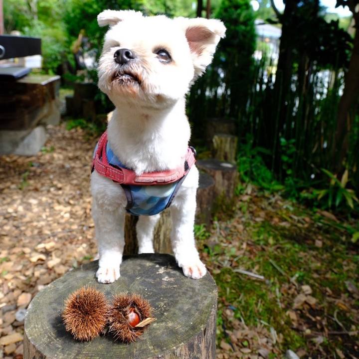 Fa8cbc40 f697 4405 a614 fbd323604b13 1727392583184