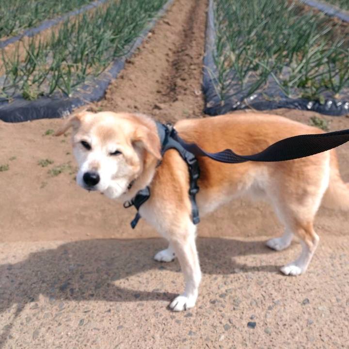 Fa8ceeb1 f538 4021 a0a9 9758afa3a213 1646879249434