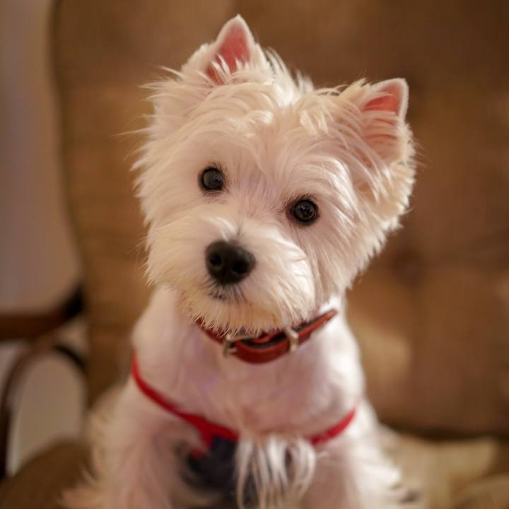 Fa8cf2ea 9cb7 4710 bc1a 55d8513f759a 1534494263782