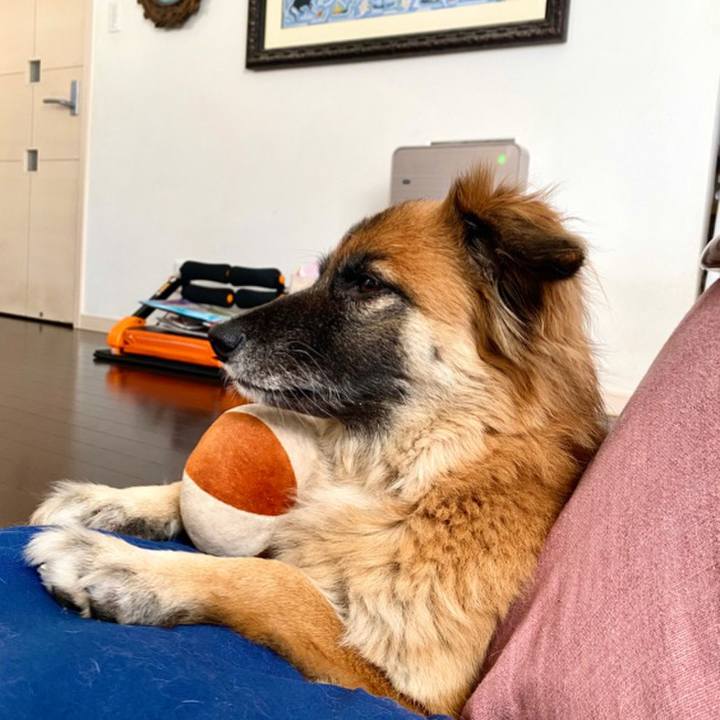 Fa8d1ac8 2738 4593 8935 69cc63204b9c 1770087186334