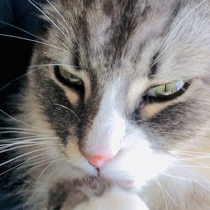 Fa8d2be0 73e1 43e9 bcbe 94e98e63caf9 1572151488576