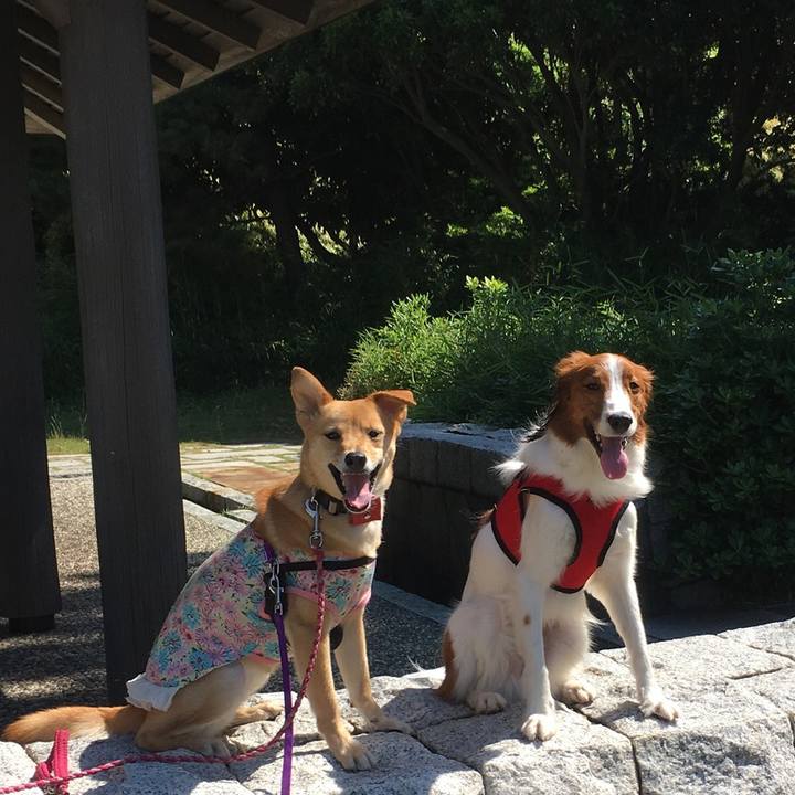 Fa8d4972 5b77 46a9 839e ce5bd1507f6f 1528009279538