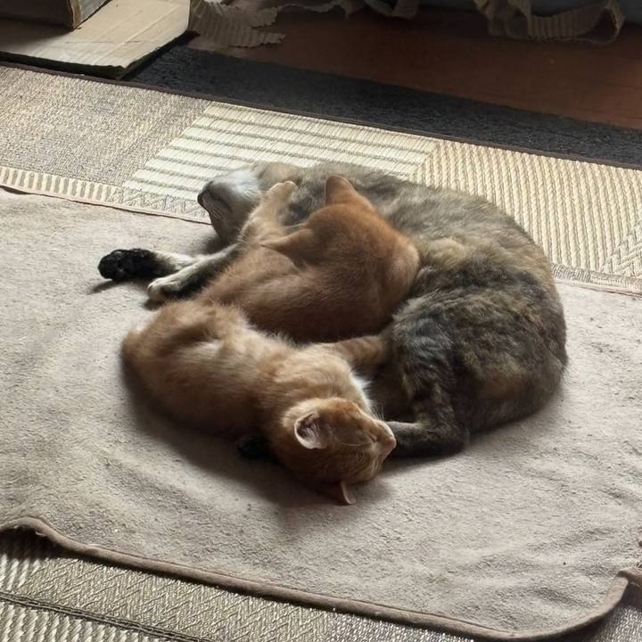 Fa8d905d 7a59 4b63 b55d b8eb60357bc9 1772924655908