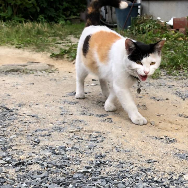 Fa8da9e0 2cba 4a17 83e4 214ecb2f5522 1625179495101