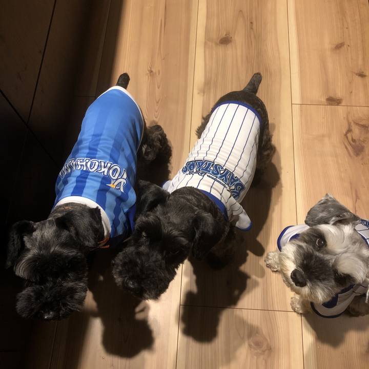 Fa8db4d2 d233 4477 9c74 0a8595080ddf 1563704617073