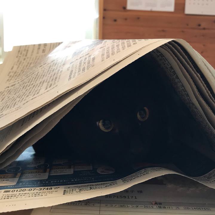 Fa8dc020 25d5 47e8 93df ed5a3d2e8eb0 1586468148669