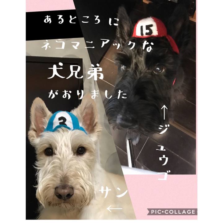 Fa8dc1a3 1ddf 46ac ab64 b8fd907adfe9 1585991526876