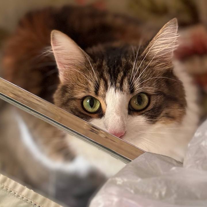 Fa8ded14 5f10 42c0 829a 3abd6d04995a 1761033358067