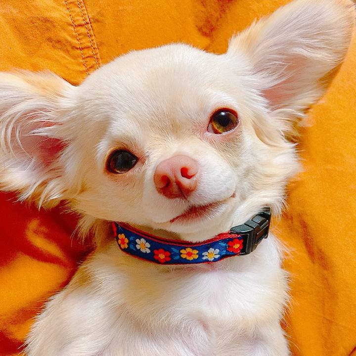 Fa8e0329 5a3b 4a3e ba55 9006c9493f37 1630359181328