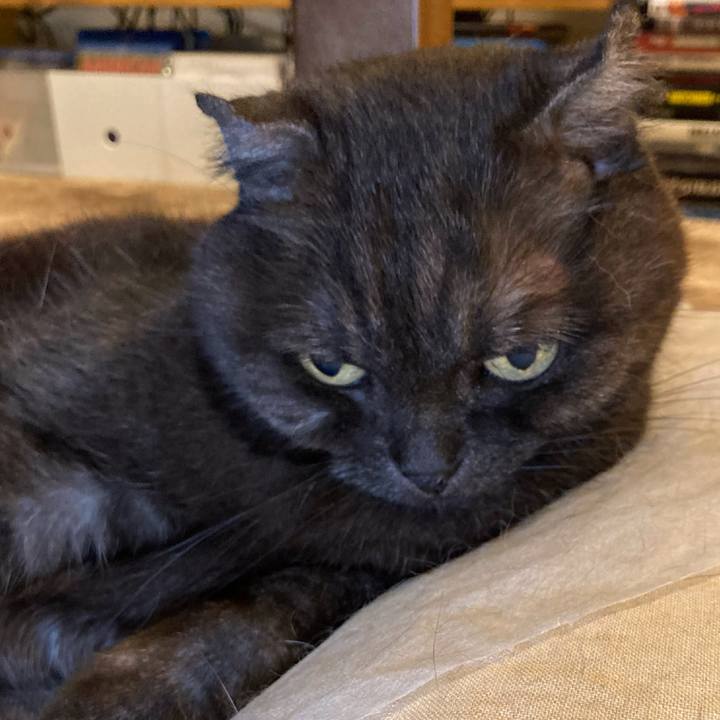 Fa8e68be ffec 4be9 b695 6ca938eec2b5 1624716994570