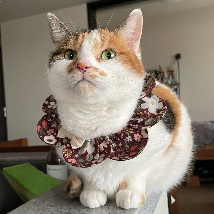 Fa8e6c17 8b19 4f99 8719 b96e9c63567e 1765237063007